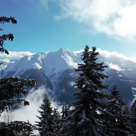 Baergblueemli 2- Og Ost By Interhome * Bettmeralp