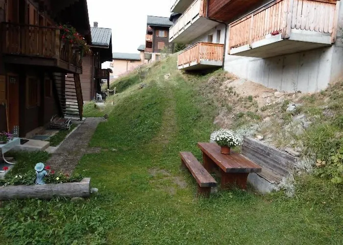 Baergblueemli 2- Og Ost By Interhome Lägenhet Bettmeralp