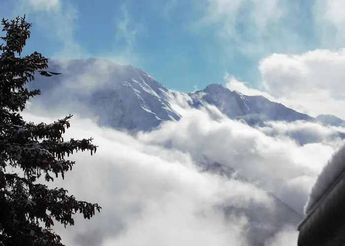 Lägenhet Baergblueemli 2- Og Ost By Interhome Bettmeralp