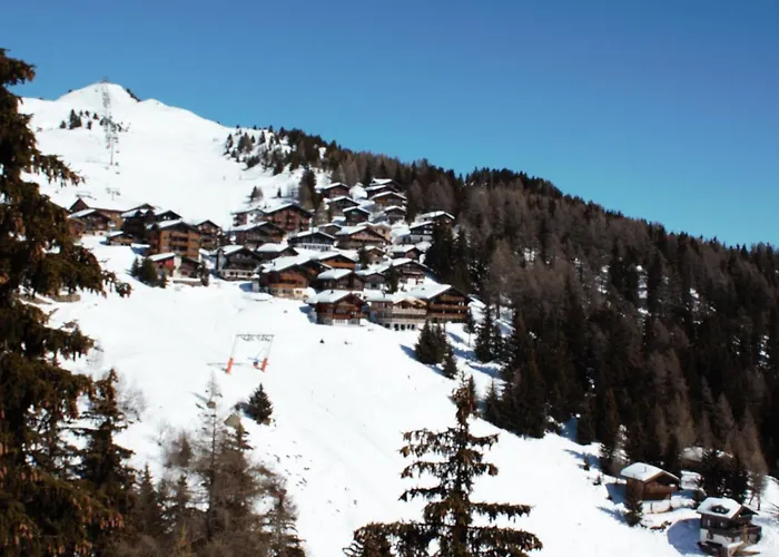 Lägenhet Baergblueemli 2- Og Ost By Interhome