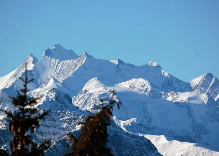 Baergblueemli 2- Og Ost By Interhome Lägenhet