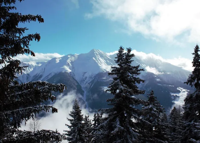 Baergblueemli 2- Og Ost By Interhome * Bettmeralp