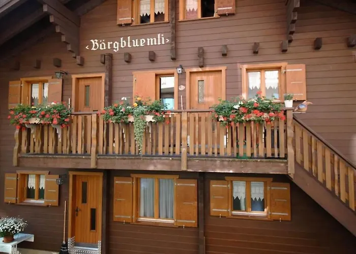 Baergblueemli 2- Og Ost By Interhome *