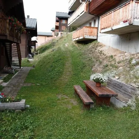 Baergblueemli - 2- Stock Ost By Interhome Apartment Bettmeralp