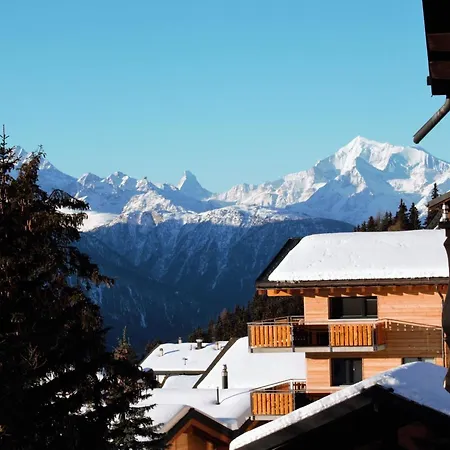 Baergblueemli - 2- Stock Ost By Interhome Bettmeralp