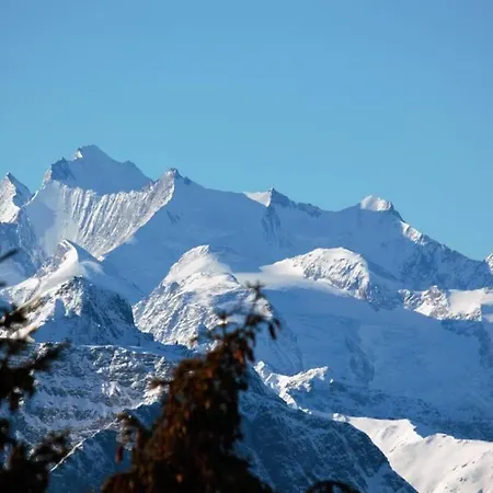 Baergblueemli 2- Og Ost By Interhome Apartment