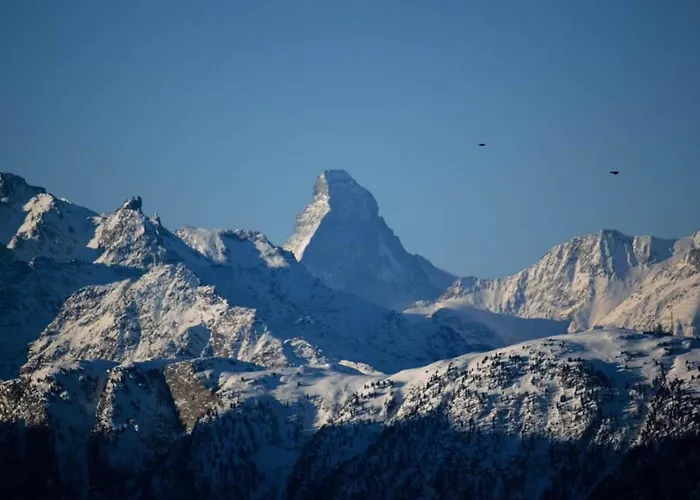 Baergblueemli 2- Og Ost By Interhome Daire Bettmeralp